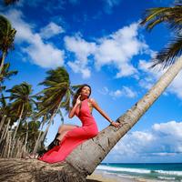 Отзыв от Алёна - DTV виза